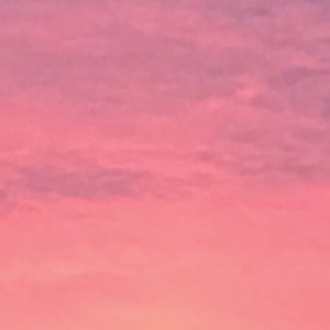 Meet your Posher, Evalin